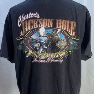 Vintage HARLEY DAVIDSON T SHIRT CHESTERS JACKSON HOLE HD WY XL 2 sided 2010